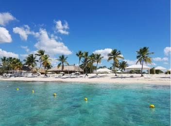 Private: Full-Day Catalina Reef & Beach Escape by Catamaran - Photo 2 (Gallery view)