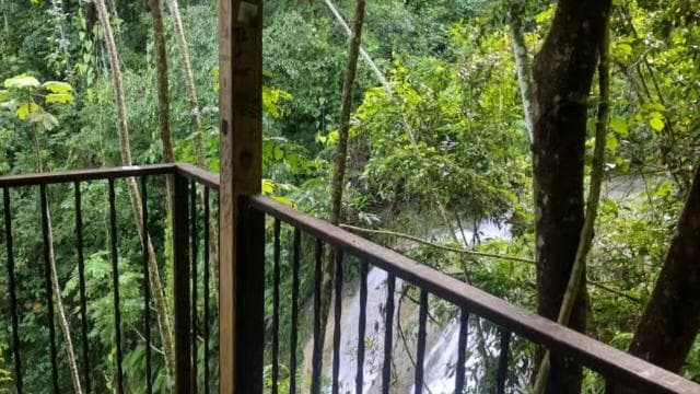 Puerto Rico: Gozalandia River Hiking and Waterfall Tour