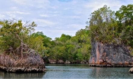 Samana: Los Haitises Kayaks & Caño Hondo Pools Tour w/ Lunch