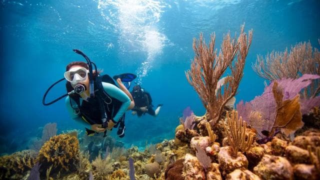 Las Catalinas: Discover Scuba Diving at Flamingo & Tamarindo
