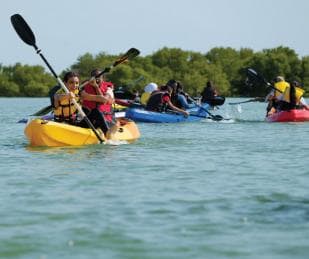 Sabana de la Mar: Los Haitises Guided Hike and Kayaking - Photo 5 (Gallery view)