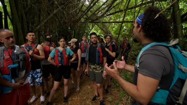 From San Juan: El Yunque Rainforest & Bio Bay Kayak Combo