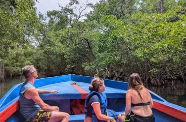 Mangove boat tour - Rio San Juan Guided 4-6 hour tour