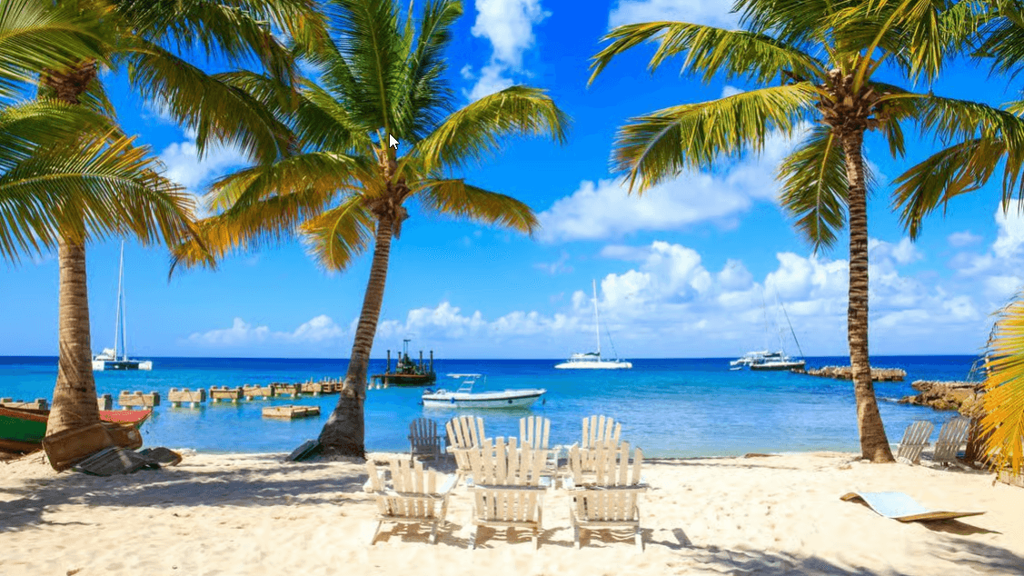 Punta Cana PUJ Airport Private Transfer to/from Bavaro|Veron - Photo 5 (Gallery view)