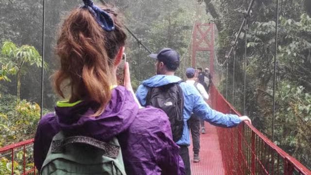 Monteverde: Exploring the Cloud forest - Dominican Republic