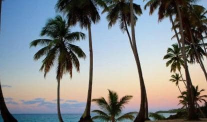 Private Rincón Beach & Bacardi Island from Punta Cana