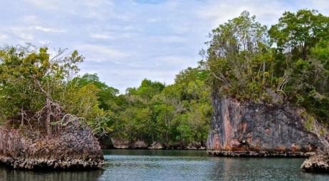 Samana: Los Haitises National Park & Caño Hondo Day Tour