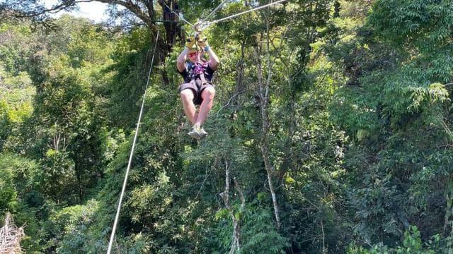 Manuel Antonio: Zipline Canopy Tour with Butterfly Garden