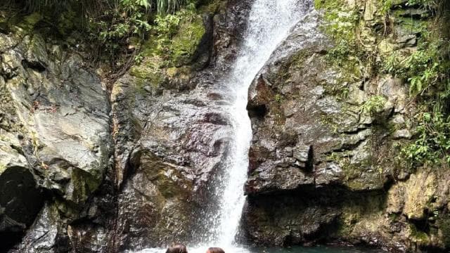 Puerto Rico: 4-in-1-Erlebnis mit Wasserfällen, Stränden und Wanderungen - Photo 3 (Gallery view)
