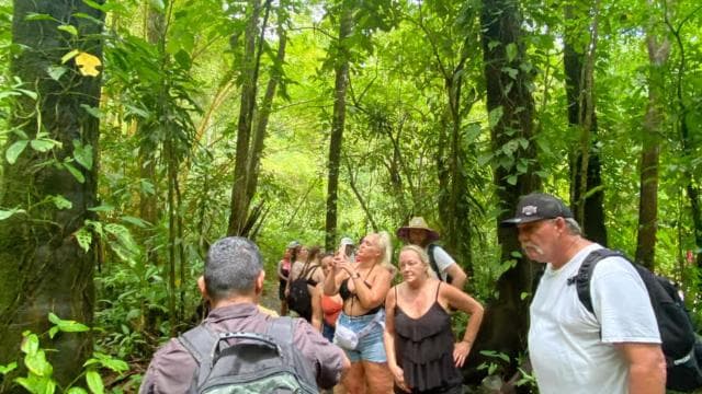 Jaco: 10 Hidden Waterfalls Hike with Local Food Experience