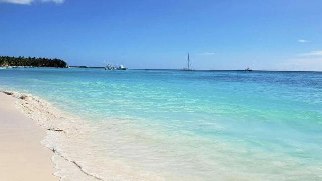 Saona Island: Relaxation Day Trip with Open Bar - Photo 2 (Gallery view)