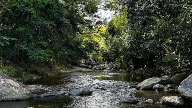 El Yunque Rainforest: Waterfalls, Waterslides and Rope-swing