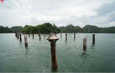 Los Haitises National Park: Boat and Walking Tour with Lunch