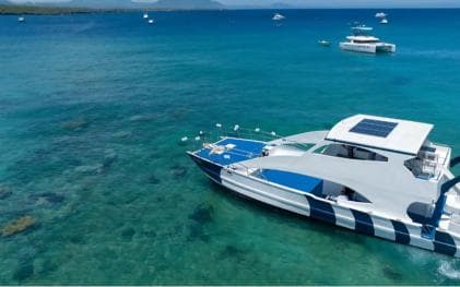 Puerto Plata Catamaran Cruise: plonje, Barbecue ak Open Bar - Photo 5 (Gallery view)