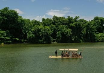 Punta Cana: Xploration Animal Park Bus Tour with Encounters