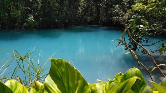 Papagayo Gulf: Rio Celeste Waterfall & Sloth Encounter Tour