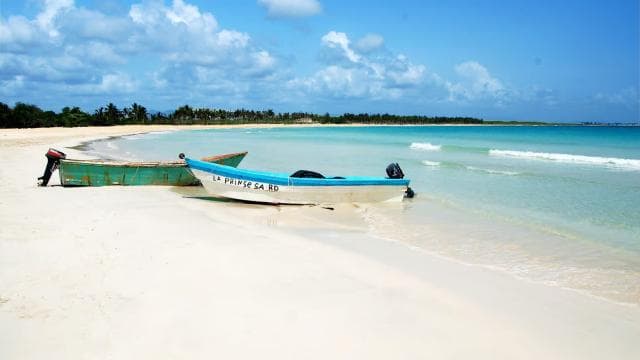 Santo Domingo: Catamaran to Saona An Unforgettable Journey