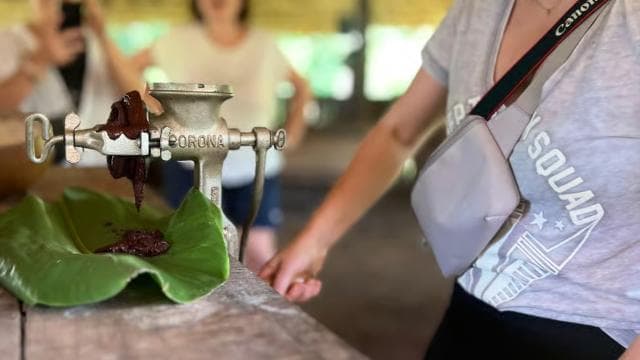 PV & Cahuita: Chocolate Tour Bri Bri Village & Waterfalltour