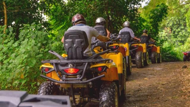 Puerto Rico: Hacienda Campo Rico ATV Experience with Pickup
