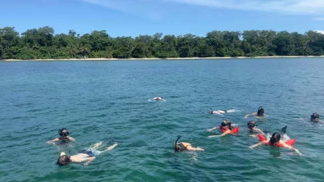 Schnorcheln Sie im Cahuita-Nationalpark - Photo 5 (Gallery view)