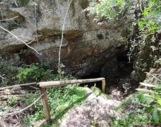 Bayahibe: National Park Jungle Walk & Snorkeling in Cenotes - Photo 2 (Gallery view)