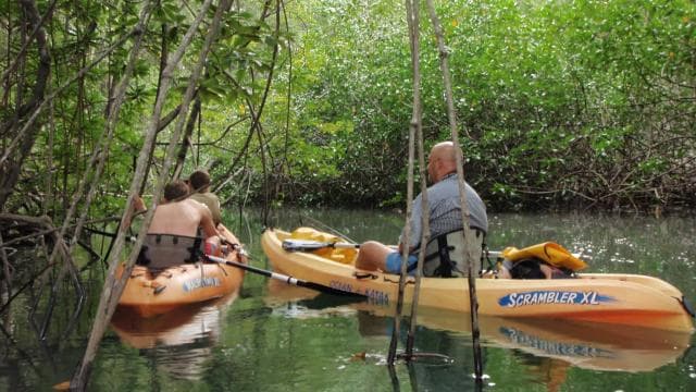 Uvita: Kayak & Snorkel Private Tour - Marino Ballena N. Park