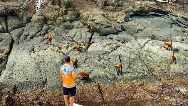 From Puntarenas: Tortuga Island VIP tour Full-Day