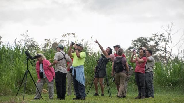 La Fortuna: Sloth Tour in the Wild - Photo 2 (Gallery view)