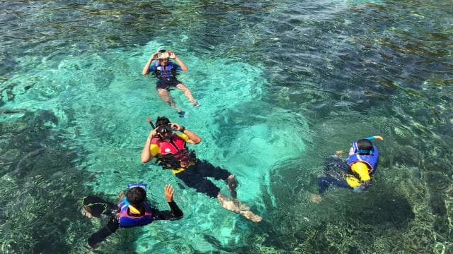 Borinquen: Underwater Magic Snorkel Adventure