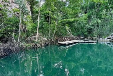 Los Haitises National Park: Private Boat Tour from Caño
