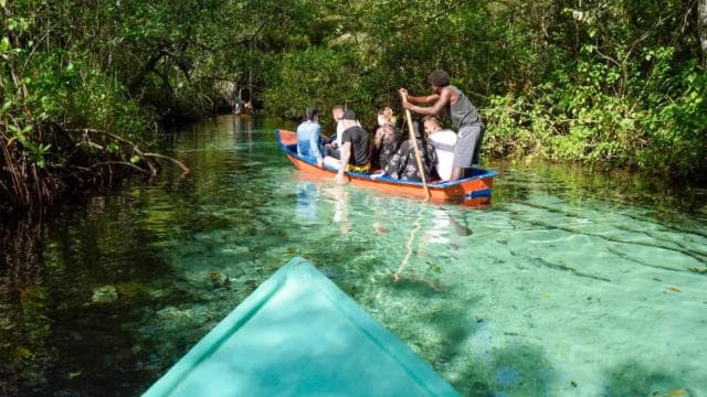 Punta Cana: Samaná Whale Watching and El Limón Day Tour