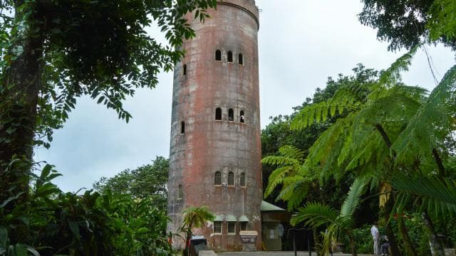 Puerto Rico: El Yunque Sightseeing Half-Day Tour w/Transfer
