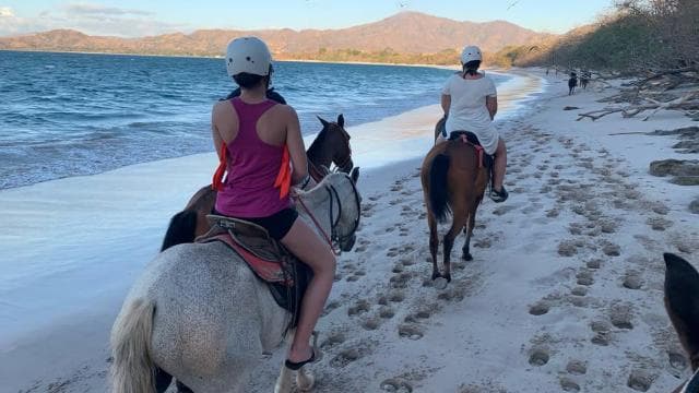 Horseback riding on the beach