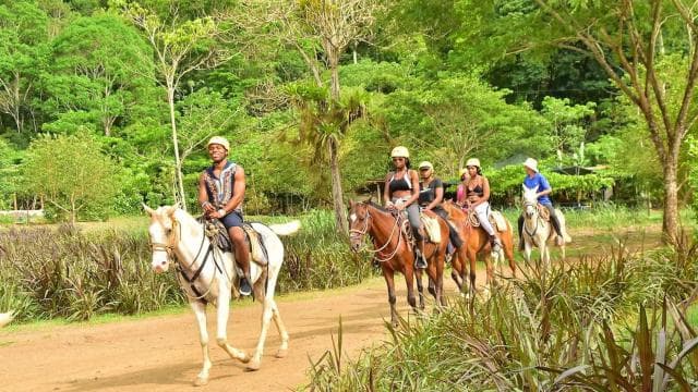 Jaco Beach: Horseback Riding with Natural Pool Stop
