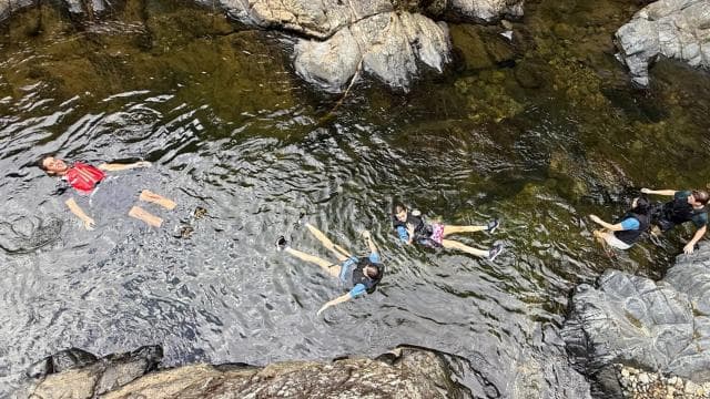 El Yunque Rainforest Tour Hike and Waterslide Adventure