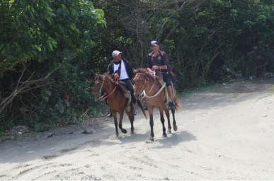 Beach horse back riding with countryside