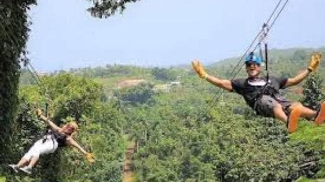 Río Grande: Rainforest Zipline Experience