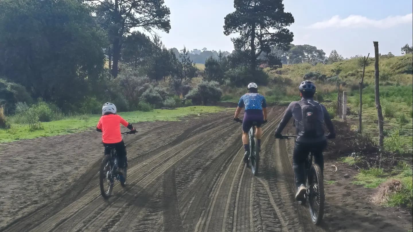 Sabana de la Mar: Los Haitises Park Bike and Boat Tour - Photo 3 (Gallery view)