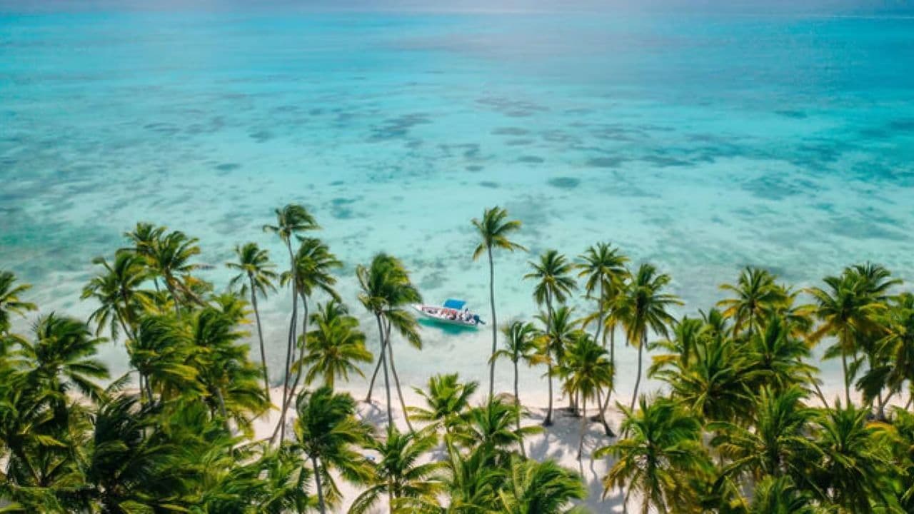 Saona Island: Catamaran tour to a Dream Beach, all inclusive - Photo 3 (Gallery view)