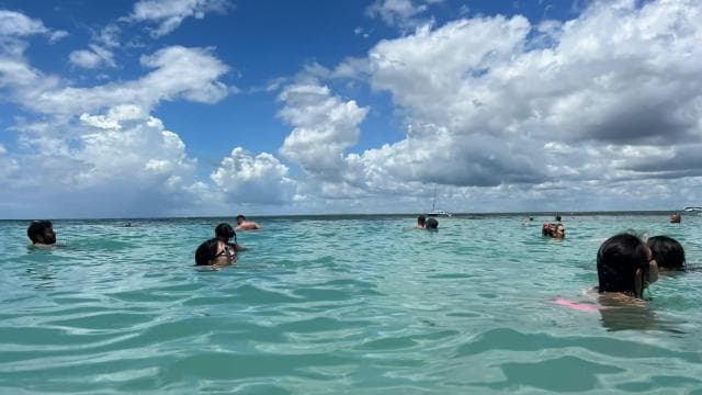 Punta Cana: All Inclusive Saona Island Experience - Photo 3 (Gallery view)