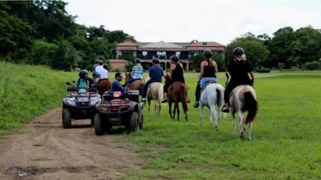 Scenic Horseback Riding Experience