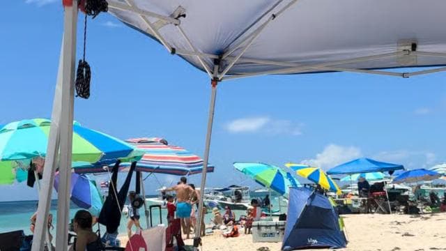 From San Juan: Transport & Water Taxi to Icaco Island