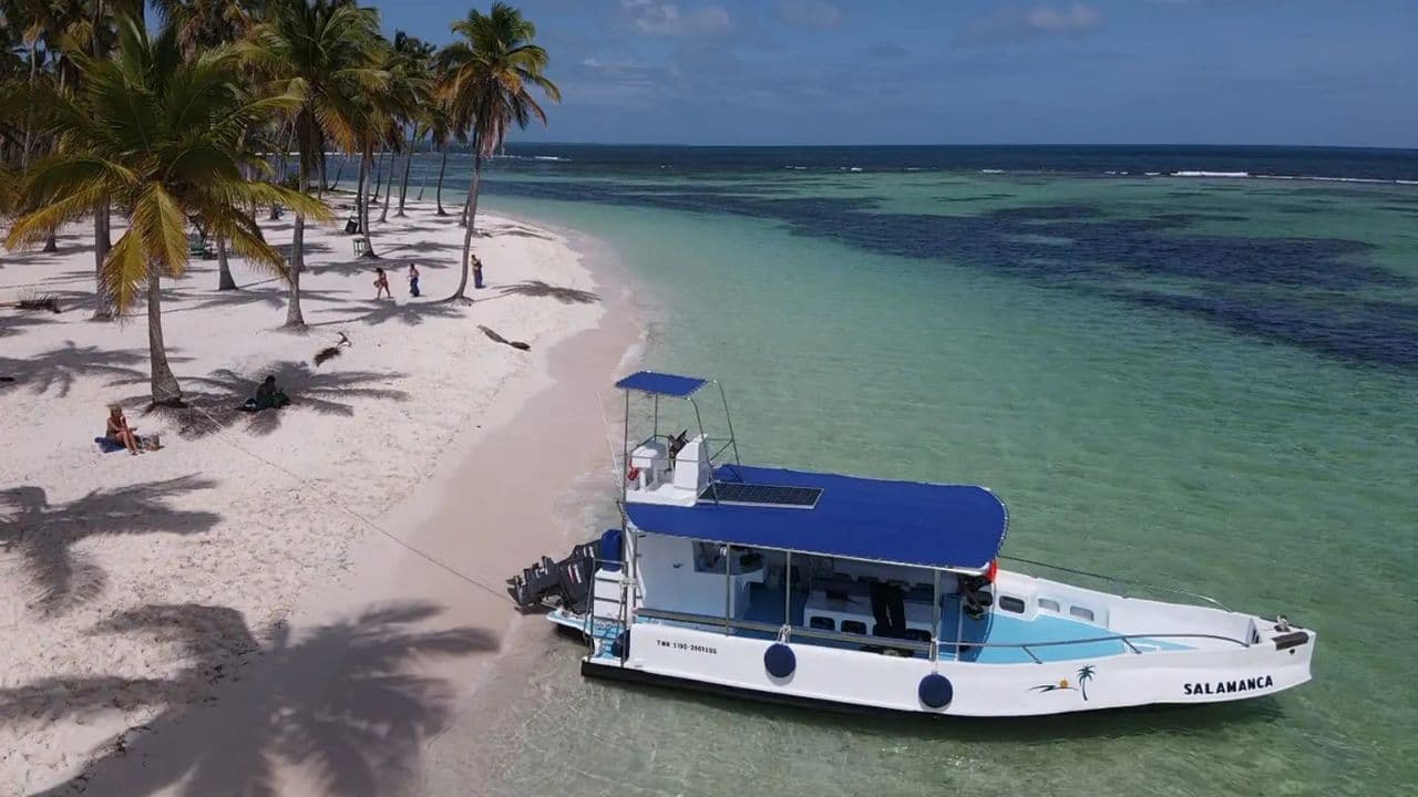 From La Romana: Saona Island for Carnival Cruises Passengers