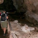 From Punta Cana: Los Haitises and Redonda Mountain Day Trip