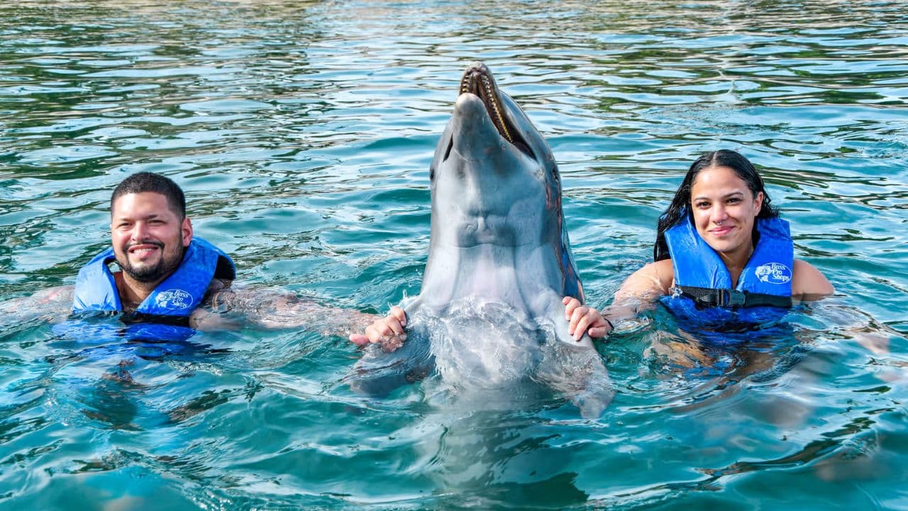 VIP Swim with Dolphins at Ocean World Puerto Plata