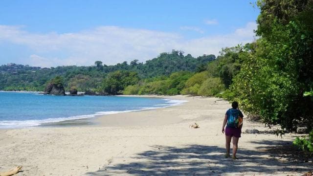 Manuel Antonio: Discover the tropical forests & white-sand