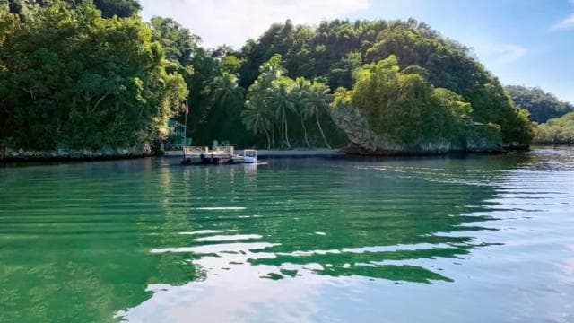 From Samana: Los Haitises Boat and Walking Tour with Lunch