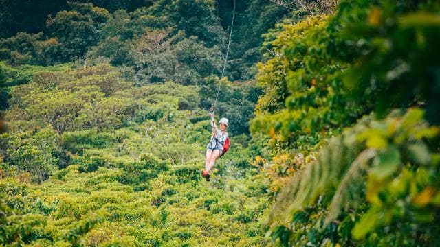 Monteverde: Zip Lines, Bridges, Butterflies, Sloths and more - Photo 3 (Gallery view)