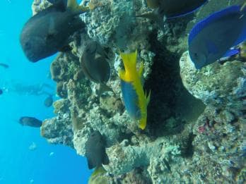 Sosua Catamaran Excursion