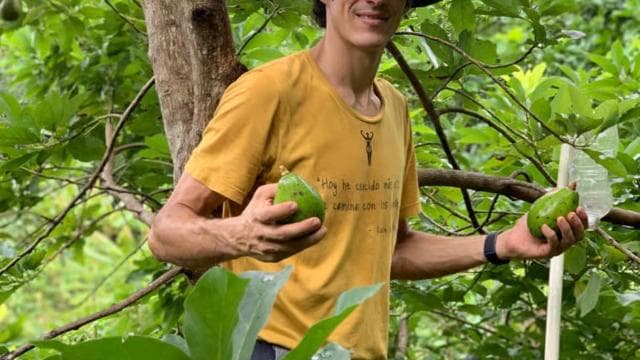 Puerto Rico, Dorado: Educational Forestry Walk